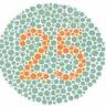 Color Blindness Test From www.toledo-bend.com