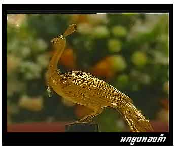 ?????????? - Golden Peacock